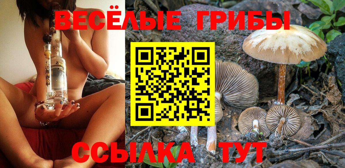 Галлюциногенные грибы ЛСД  Вход с VPN  Семилуки  Галлюциногенные грибы Psilocybine cubensis 